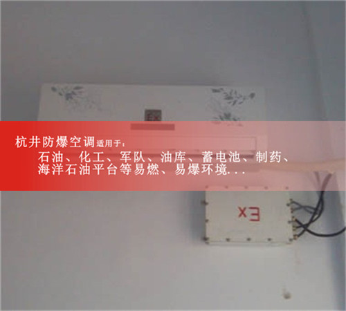 1.5p甲類(lèi)倉(cāng)庫(kù)特種防爆型空調(diào)案例圖