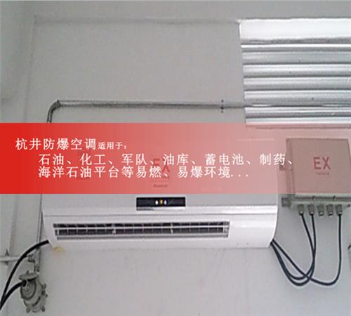 5p丙烷倉(cāng)庫(kù)單冷防爆空調(diào)案例圖